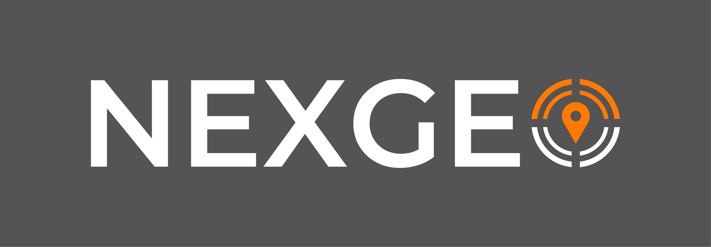 LOGO NEXGEO 20x7 cmRGB - 01